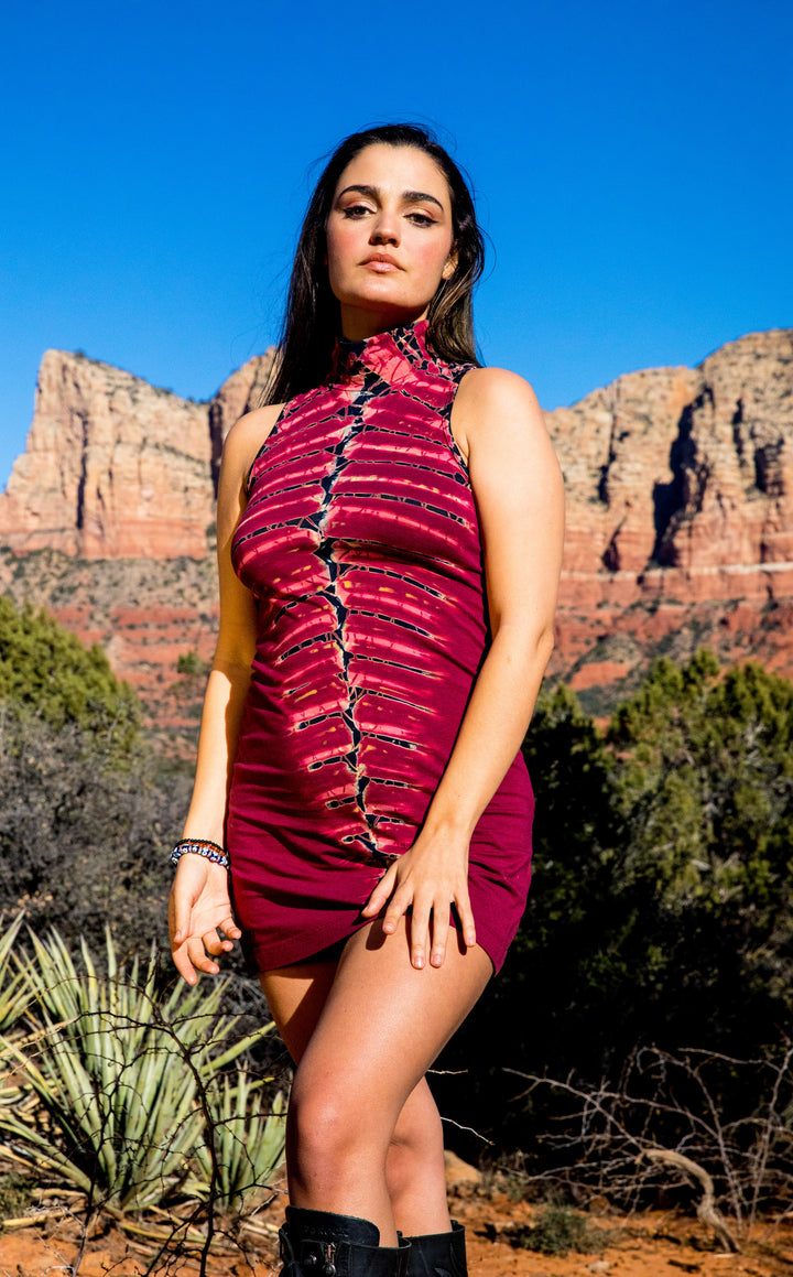 Maroon Bones Tie Dye Dyna Dress